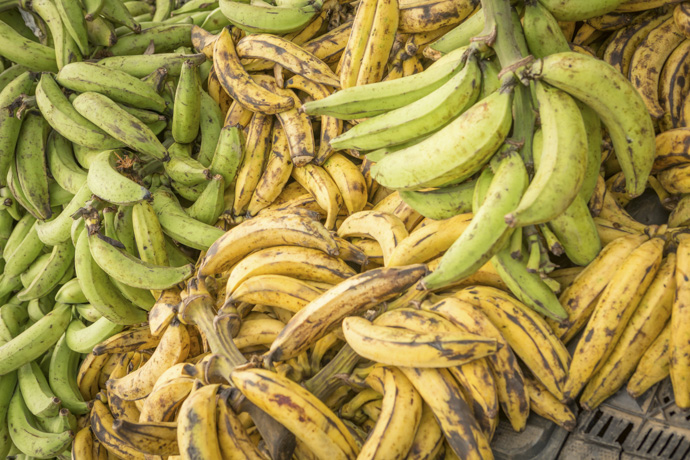 Plátanos verdes y maduros 