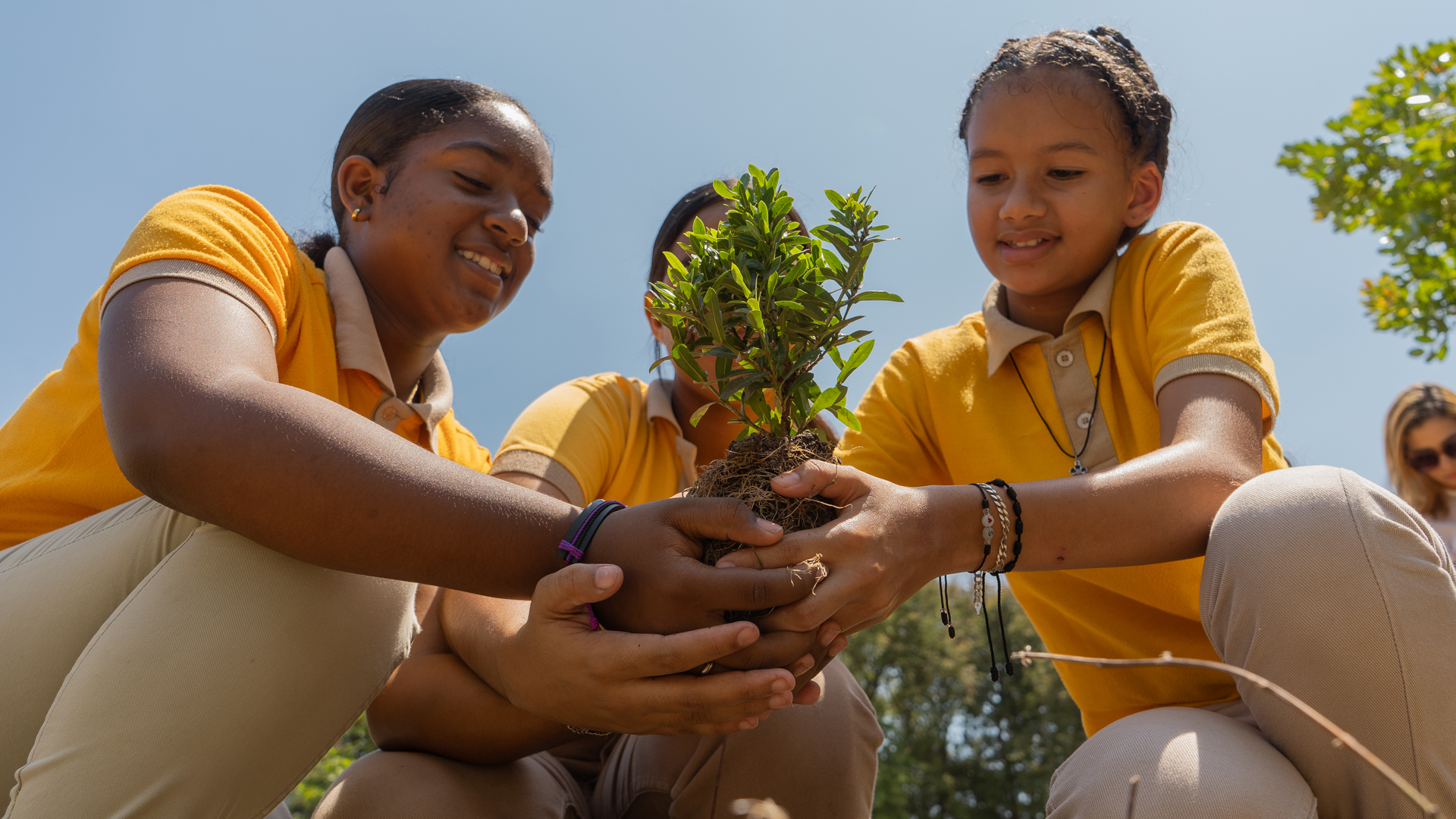 ni;os sembrando arboles.