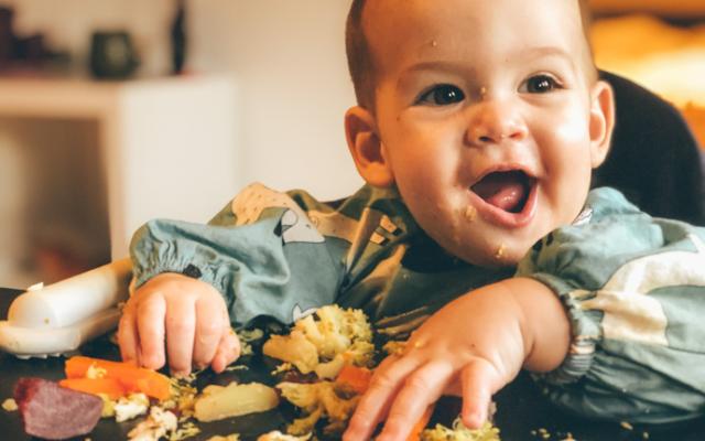 Imagen que muestra alimentos prohibidos del BLW.